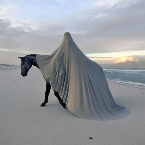 a photograph in an abstract style. A white beach with a white, slightly clouded sky, besides a flat pale sea. Filling the image is a black horse, with a rider on it. The rider is wholly covered with a white cloak or piece of fabric, hiding their body and identity and trailing on the ground behind the horse.